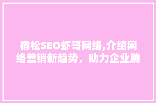 宿松SEO虾哥网络,介绍网络营销新趋势，助力企业腾飞
