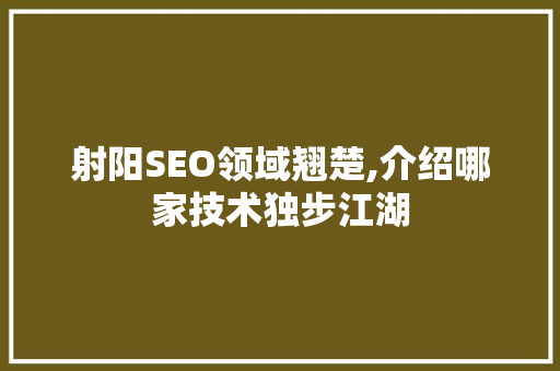 射阳SEO领域翘楚,介绍哪家技术独步江湖