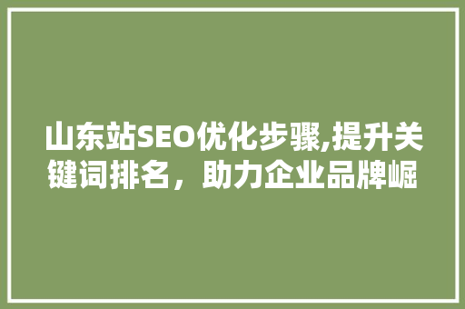 山东站SEO优化步骤,提升关键词排名，助力企业品牌崛起 GoogleSEO