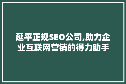 延平正规SEO公司,助力企业互联网营销的得力助手