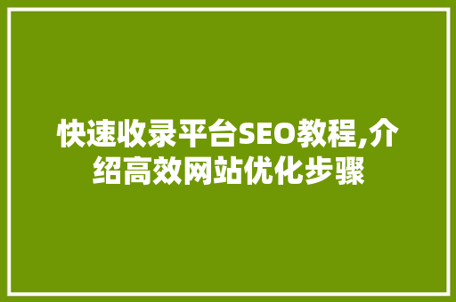 快速收录平台SEO教程,介绍高效网站优化步骤 搜狗SEO
