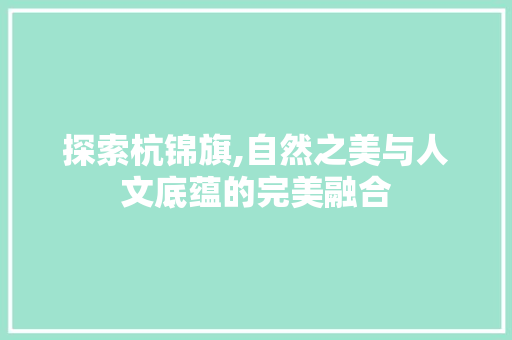 探索杭锦旗,自然之美与人文底蕴的完美融合 百度SEO