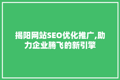 揭阳网站SEO优化推广,助力企业腾飞的新引擎