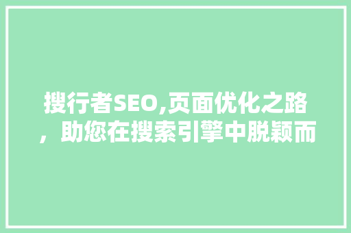 搜行者SEO,页面优化之路，助您在搜索引擎中脱颖而出 神马SEO