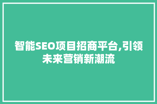 智能SEO项目招商平台,引领未来营销新潮流 GoogleSEO
