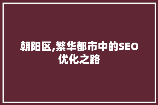 朝阳区,繁华都市中的SEO优化之路