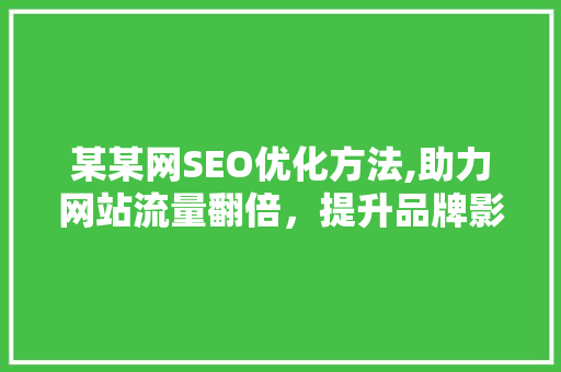 某某网SEO优化方法,助力网站流量翻倍，提升品牌影响力 GoogleSEO