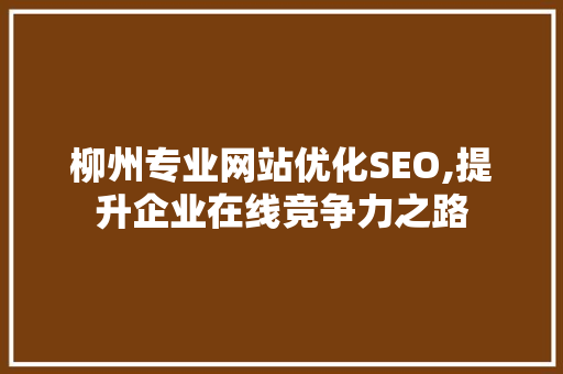 柳州专业网站优化SEO,提升企业在线竞争力之路
