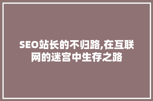 SEO站长的不归路,在互联网的迷宫中生存之路 百度SEO