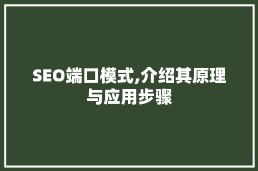 SEO端口模式,介绍其原理与应用步骤 搜狗SEO