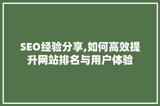 SEO经验分享,如何高效提升网站排名与用户体验 必应SEO