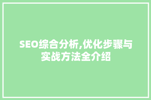 SEO综合分析,优化步骤与实战方法全介绍 GoogleSEO