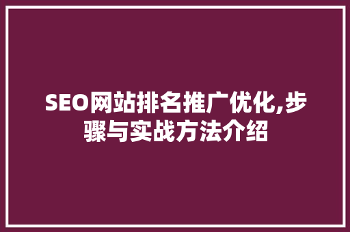 SEO网站排名推广优化,步骤与实战方法介绍 GoogleSEO