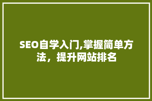SEO自学入门,掌握简单方法，提升网站排名 百度SEO