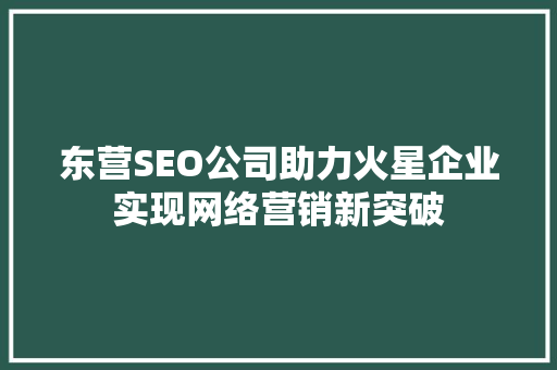 东营SEO公司助力火星企业实现网络营销新突破