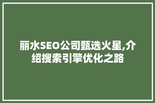 丽水SEO公司甄选火星,介绍搜索引擎优化之路 GoogleSEO