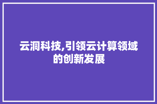 云洞科技,引领云计算领域的创新发展 必应SEO