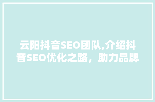 云阳抖音SEO团队,介绍抖音SEO优化之路，助力品牌在短视频平台脱颖而出 搜狗SEO