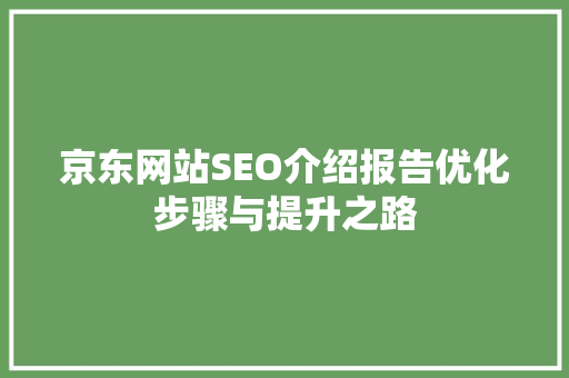 京东网站SEO介绍报告优化步骤与提升之路 必应SEO