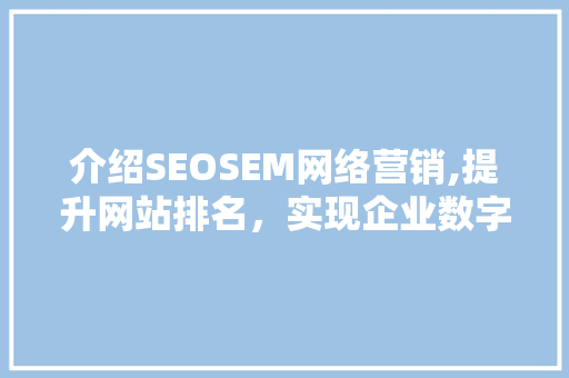 介绍SEOSEM网络营销,提升网站排名，实现企业数字化转型 神马SEO