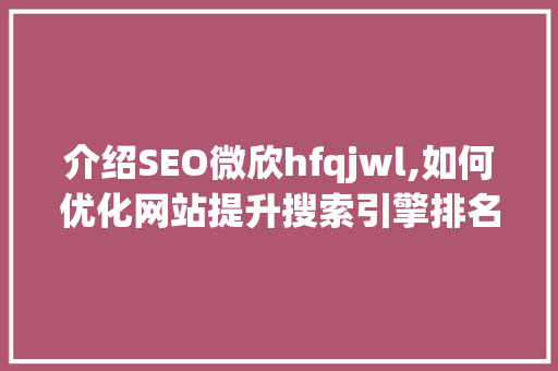 介绍SEO微欣hfqjwl,如何优化网站提升搜索引擎排名 GoogleSEO