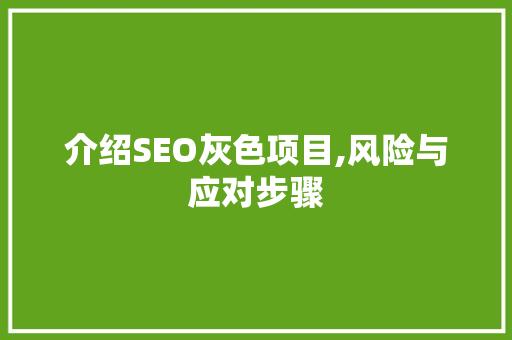 介绍SEO灰色项目,风险与应对步骤 搜狗SEO