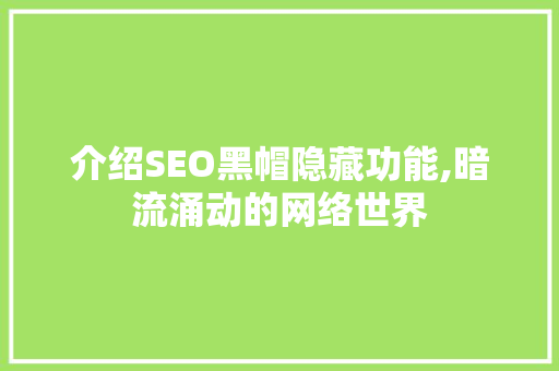介绍SEO黑帽隐藏功能,暗流涌动的网络世界 GoogleSEO