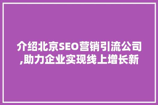 介绍北京SEO营销引流公司,助力企业实现线上增长新篇章 搜狗SEO