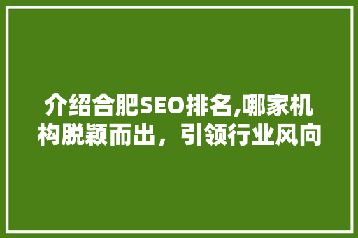介绍合肥SEO排名,哪家机构脱颖而出，引领行业风向标 GoogleSEO