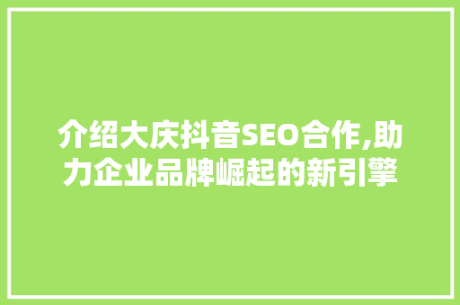 介绍大庆抖音SEO合作,助力企业品牌崛起的新引擎 GoogleSEO