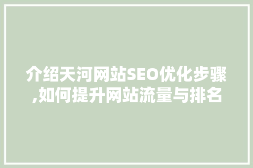 介绍天河网站SEO优化步骤,如何提升网站流量与排名 百度SEO