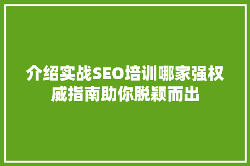 介绍实战SEO培训哪家强权威指南助你脱颖而出 GoogleSEO
