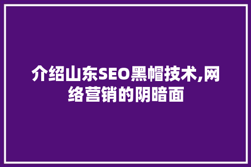 介绍山东SEO黑帽技术,网络营销的阴暗面 必应SEO