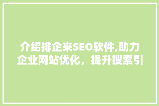 介绍排企来SEO软件,助力企业网站优化，提升搜索引擎排名