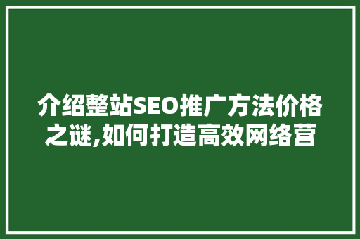 介绍整站SEO推广方法价格之谜,如何打造高效网络营销步骤
