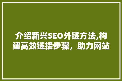 介绍新兴SEO外链方法,构建高效链接步骤，助力网站排名飙升 GoogleSEO