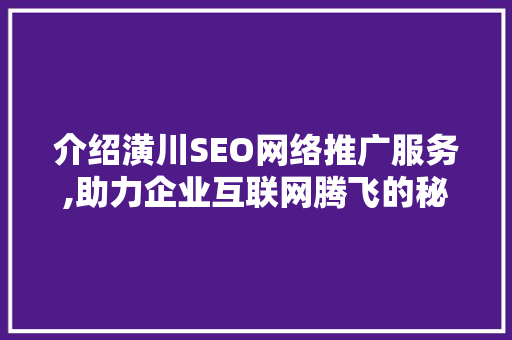 介绍潢川SEO网络推广服务,助力企业互联网腾飞的秘密武器 GoogleSEO