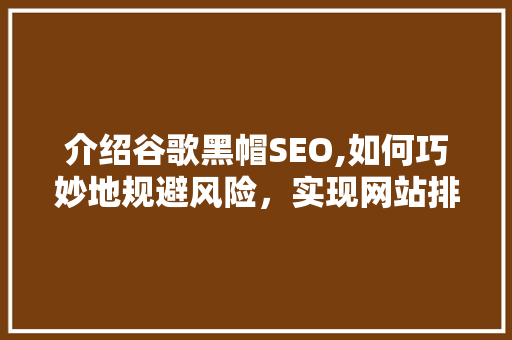 介绍谷歌黑帽SEO,如何巧妙地规避风险，实现网站排名提升 搜狗SEO