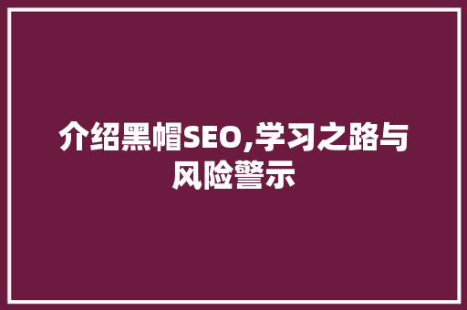 介绍黑帽SEO,学习之路与风险警示 搜狗SEO