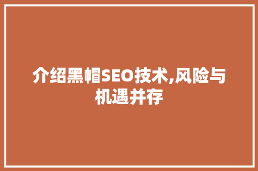 介绍黑帽SEO技术,风险与机遇并存 必应SEO