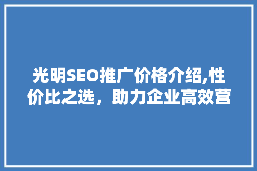 光明SEO推广价格介绍,性价比之选，助力企业高效营销 百度SEO