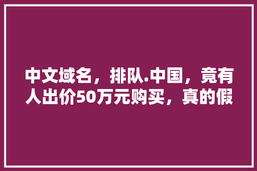 中文域名，排队.中国，竟有人出价50万元购买，真的假的「为什么中文域名没人买呢」 中文域名，排队.中国，竟有人出价50万元购买，真的假的「为什么中文域名没人买呢」 必应SEO