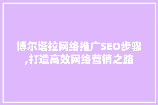 博尔塔拉网络推广SEO步骤,打造高效网络营销之路 百度SEO