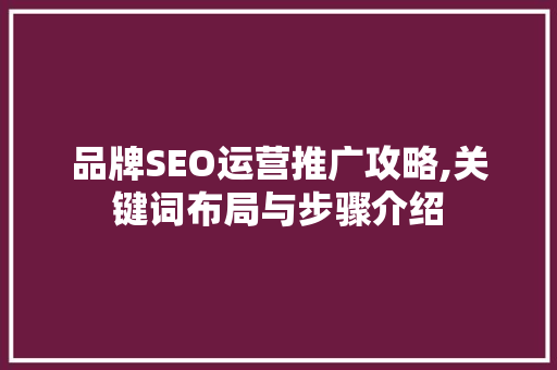 品牌SEO运营推广攻略,关键词布局与步骤介绍 百度SEO