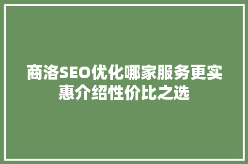 商洛SEO优化哪家服务更实惠介绍性价比之选