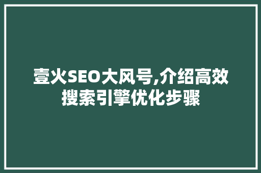 壹火SEO大风号,介绍高效搜索引擎优化步骤