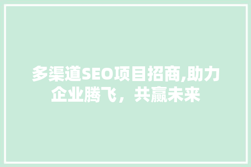 多渠道SEO项目招商,助力企业腾飞，共赢未来 必应SEO