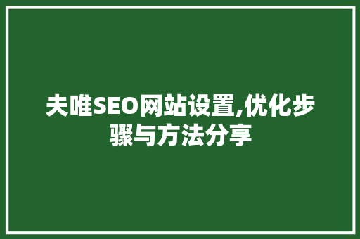 夫唯SEO网站设置,优化步骤与方法分享 搜狗SEO