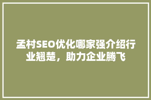 孟村SEO优化哪家强介绍行业翘楚，助力企业腾飞 GoogleSEO