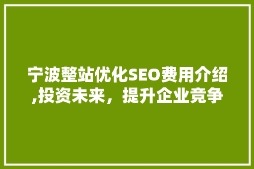 宁波整站优化SEO费用介绍,投资未来，提升企业竞争力 神马SEO